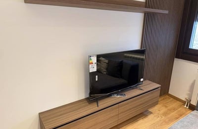 Vermietung einer gemütlichen 2-Zimmer-Wohnung, 50 m², Vračar, Belgrad, Serbien